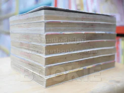 นักเตะนอกสนาม 8 เล่มจบ (ขาดเล่ม 8) รูปที่ 4