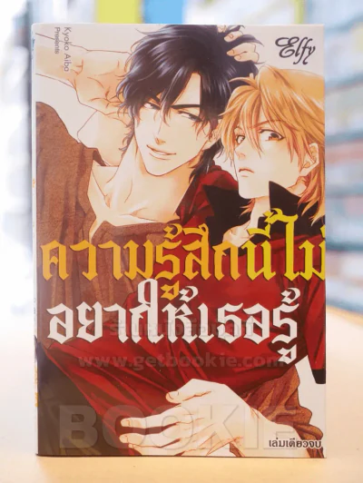 ความรู้สึกนี้ไม่อยากให้เธอรู้ รูปที่ 1