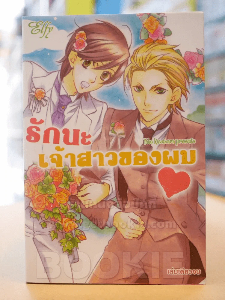 รักนะเจ้าสาวของผม รูปที่ 1