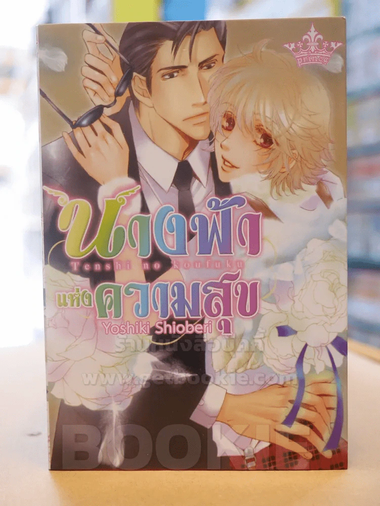 นางฟ้าแห่งความสุข รูปที่ 1