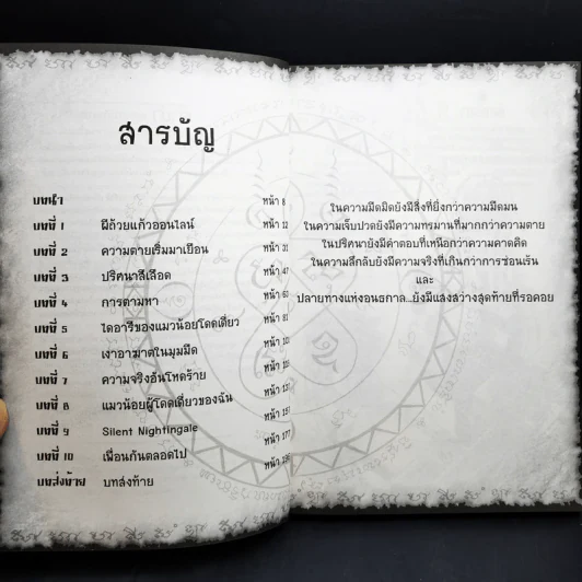การิน ปริศนาคดีอาถรรพ์ เกมเชื่อมความตายออนไลน์มรณะ รูปที่ 10