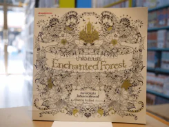 ป่าต้องมนต์ Enchanted Forest รูปที่ 1