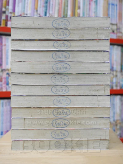 Dragon Quest ภาคตำนานผู้กล้าโรโตะ 12 เล่มจบ รูปที่ 3
