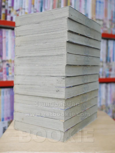Dragon Quest ภาคตำนานผู้กล้าโรโตะ 12 เล่มจบ รูปที่ 4
