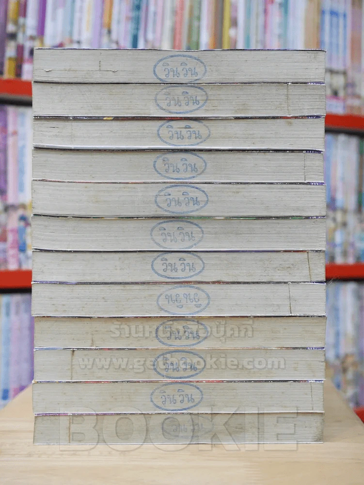 Dragon Quest ภาคตำนานผู้กล้าโรโตะ 12 เล่มจบ รูปที่ 3