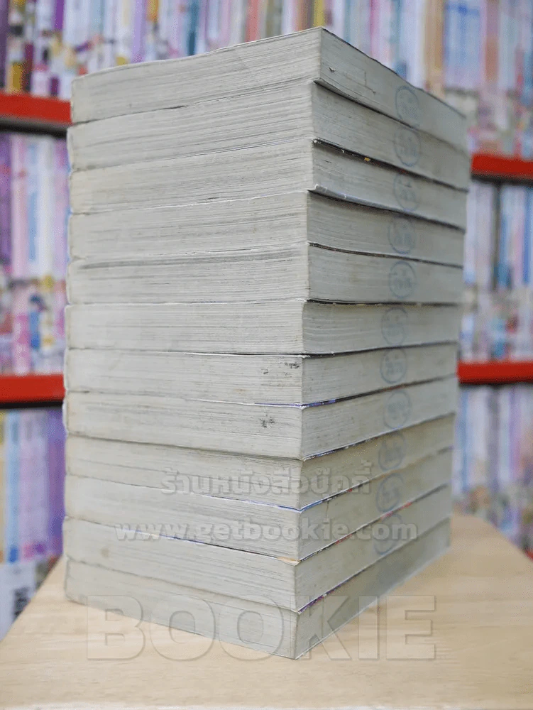Dragon Quest ภาคตำนานผู้กล้าโรโตะ 12 เล่มจบ รูปที่ 4