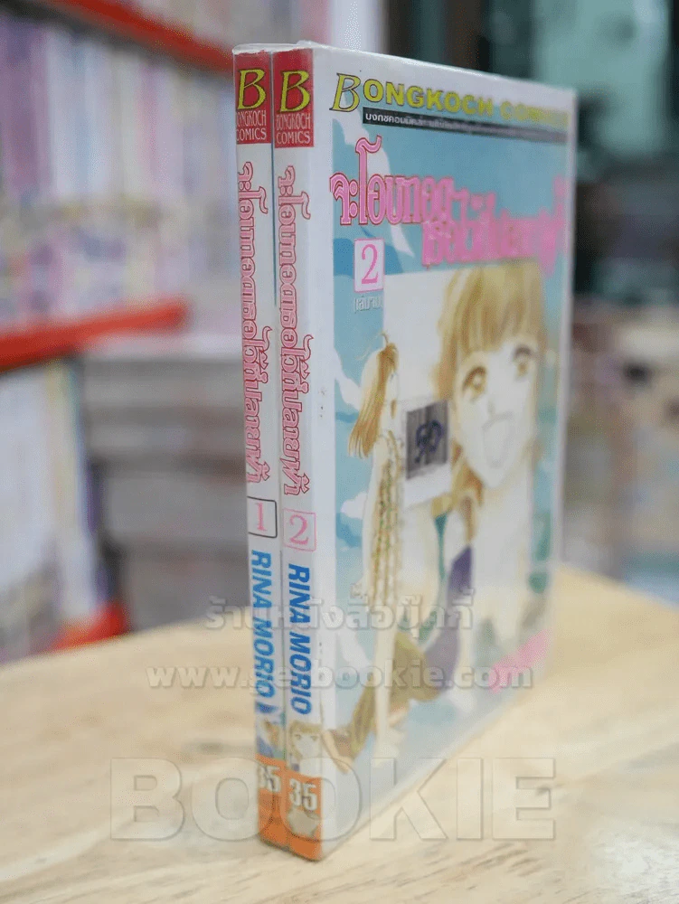 จะโอบกอดเธอไว้ที่ปลายฟ้า 2 เล่มจบ รูปที่ 1