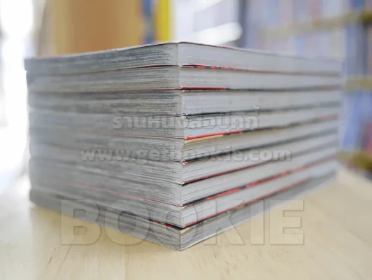 มาเฟียที่รัก 9 เล่มจบ (สภาพดี) รูปที่ 4