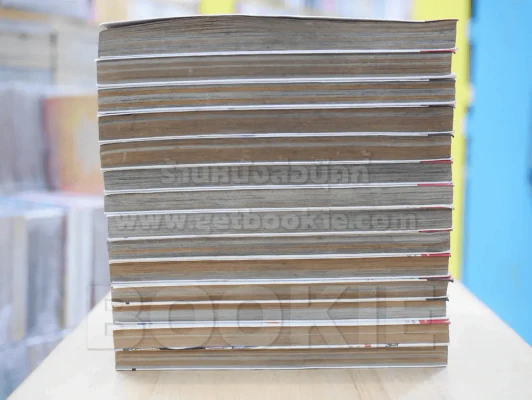 บ้านพักอลเวง 14 เล่มจบ รูปที่ 3