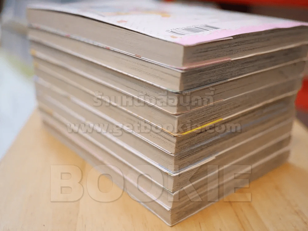 บันทึกหัวใจฝากไว้ที่เธอ 9 เล่มจบ (สภาพดี) รูปที่ 6