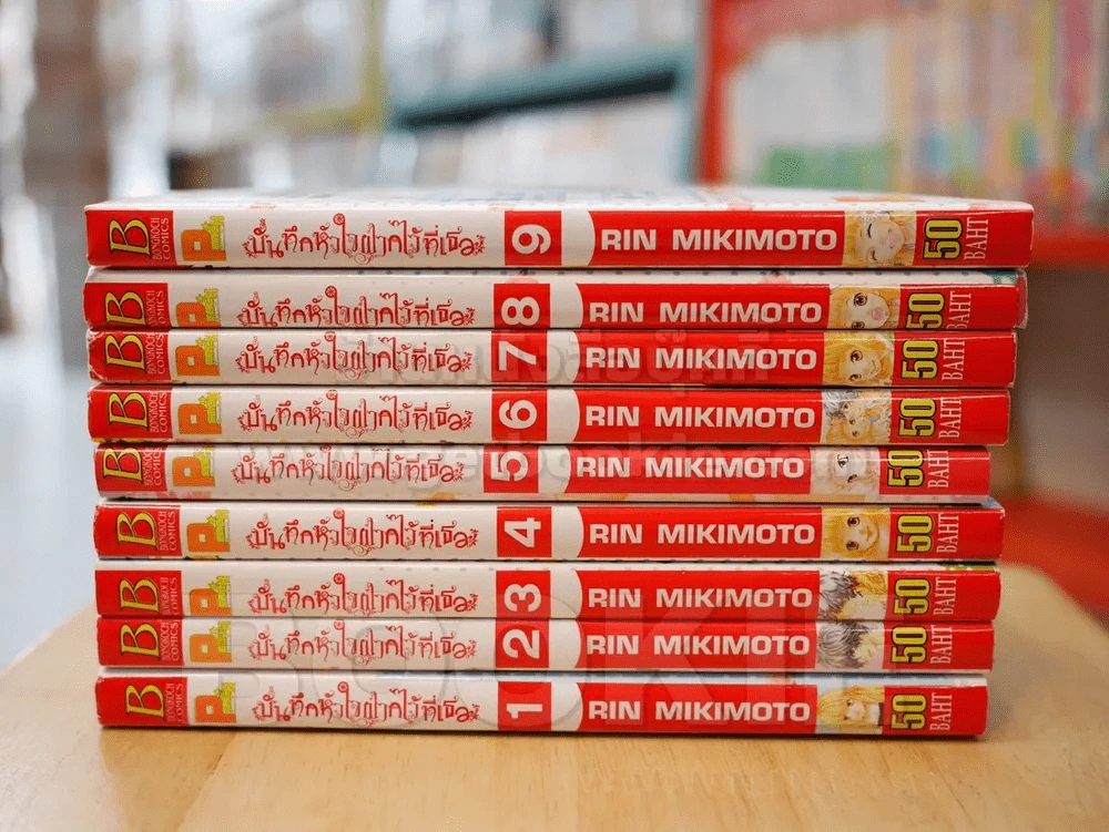 บันทึกหัวใจฝากไว้ที่เธอ 9 เล่มจบ (สภาพดี) รูปที่ 2