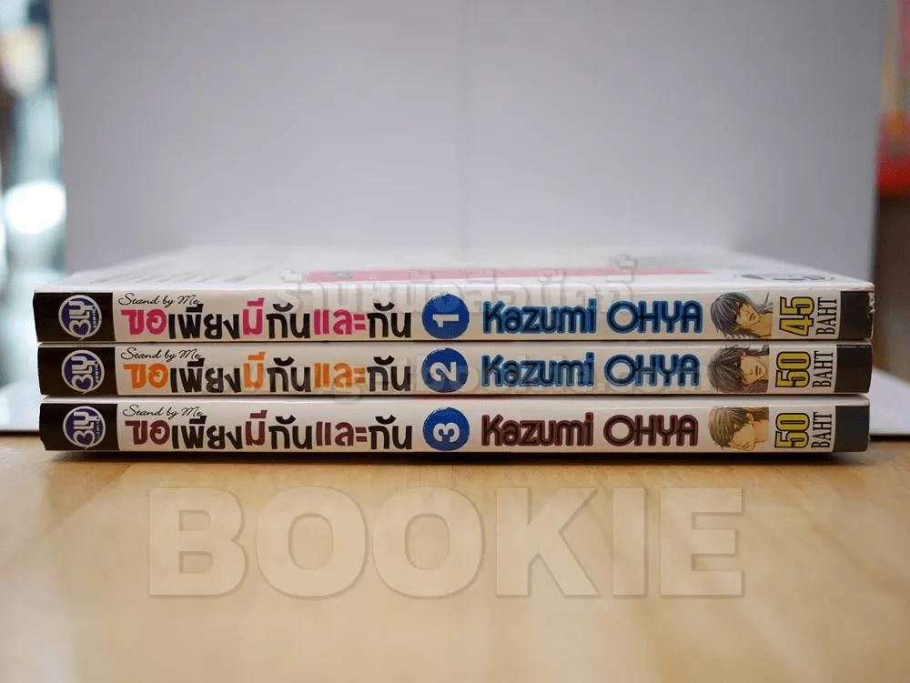 ขอเพียงมีกันและกัน 3 เล่มจบ รูปที่ 2