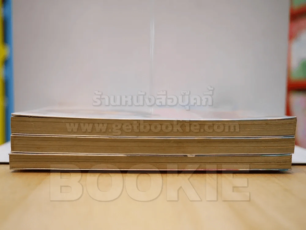 คลื่นรักใต้ผืนน้ำ 3 เล่มจบ รูปที่ 3