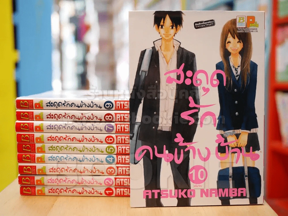 สะดุดรักคนข้างบ้าน 10 เล่มจบ (สภาพดี) รูปที่ 1