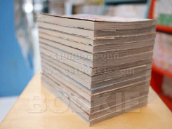 เมื่อความรักมาทักทาย 15 เล่มจบ รูปที่ 5
