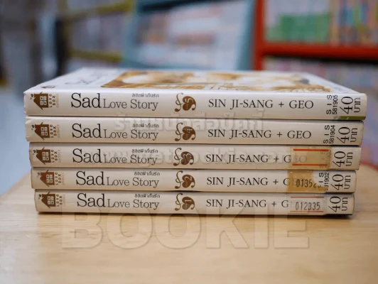 Sad Love Story ลิขิตฟ้ากั้นรัก 5 เล่มจบ รูปที่ 2