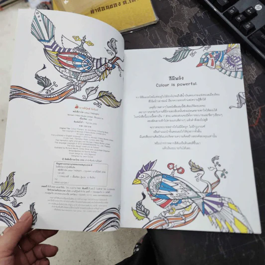 พลังสีบำบัด colour THERAPY COLOURING BOOK รูปที่ 8