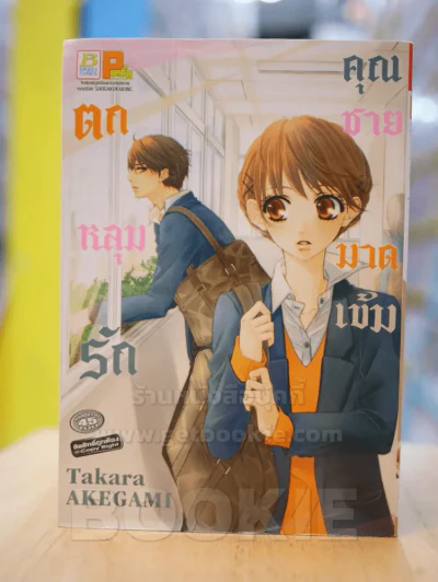 ตกหลุมรักคุณชายมาดเข้ม รูปที่ 1