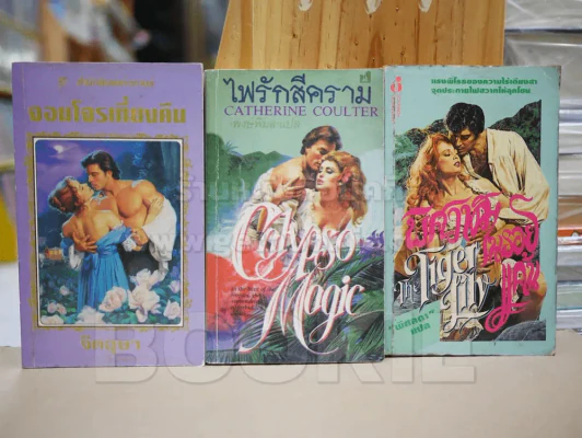 นิยายโรมานซ์ 3 เล่ม 100 ชุดที่ 4 รูปที่ 1
