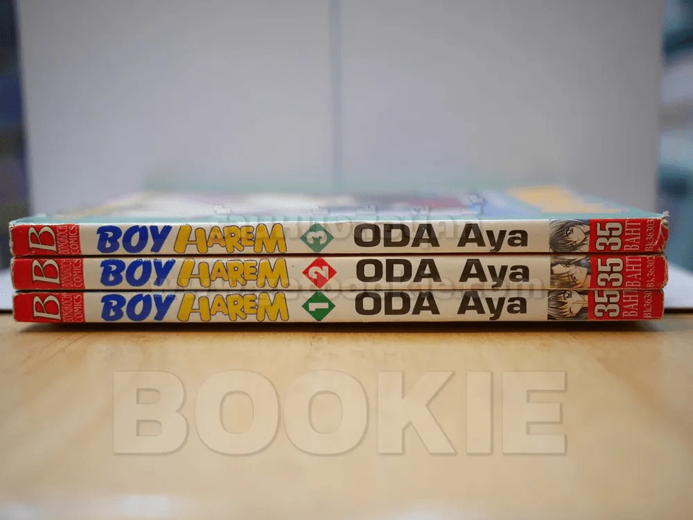 Boy Harem 3 เล่มจบ รูปที่ 2