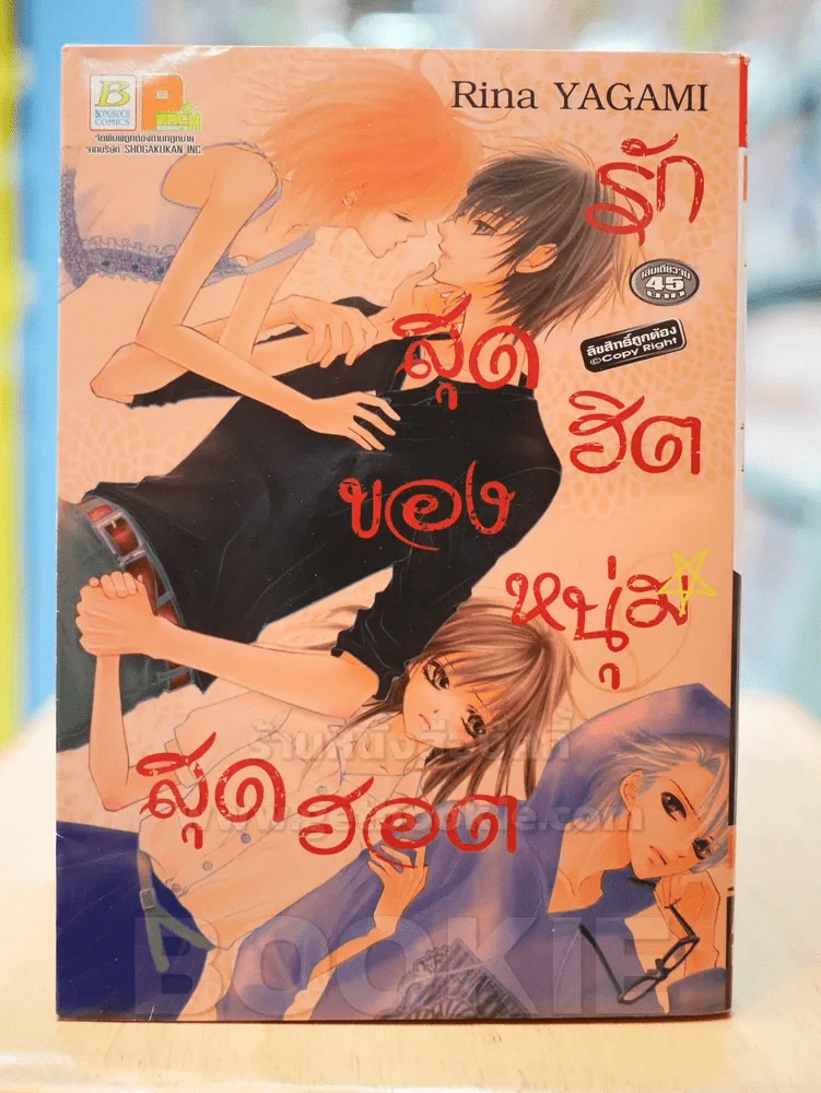 รักสุดฮิตของหนุ่มสุดฮอต รูปที่ 1
