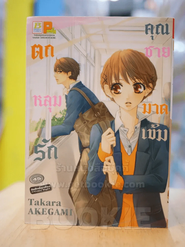 ตกหลุมรักคุณชายมาดเข้ม รูปที่ 1