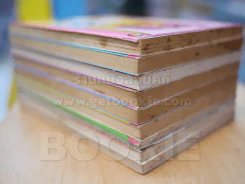หง่าวซ่าคุโรโกะ 9 เล่มจบ รูปที่ 5