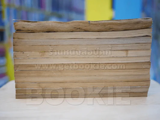 ไฟรัก 12 เล่มจบ (เล่ม 12 สภาพบวมน้ำ) - ผู้เขียนคำสาปฟาโรห์ รูปที่ 3
