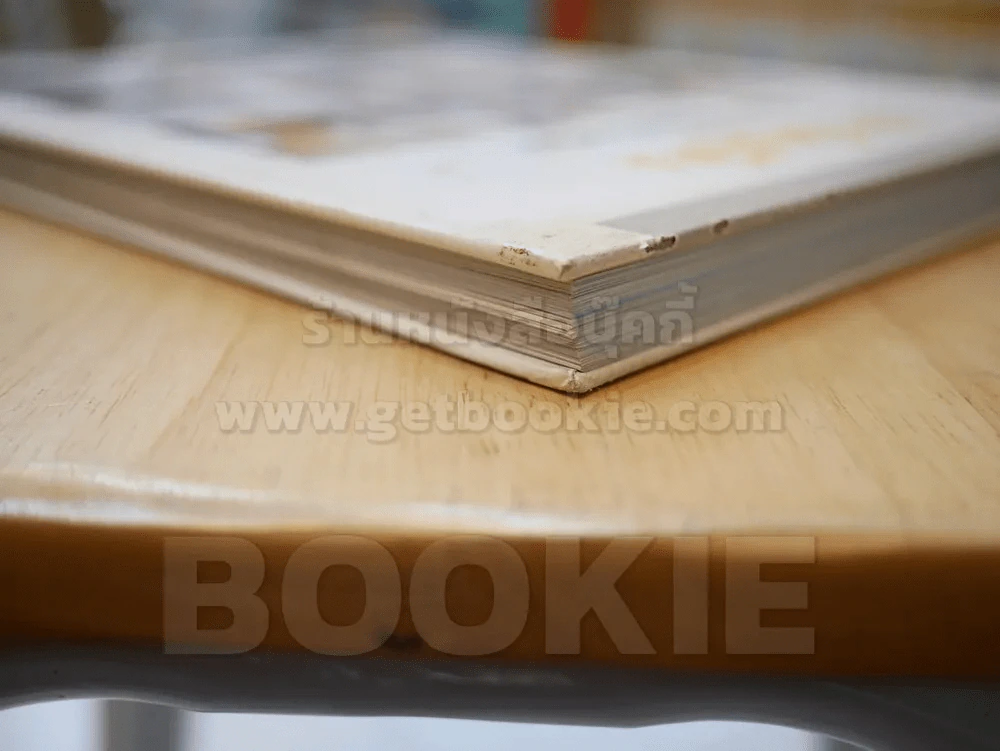 บ้านในฝัน ฉบับพิเศษ ศิลปการตกแตงกับรสนิยม รูปที่ 5