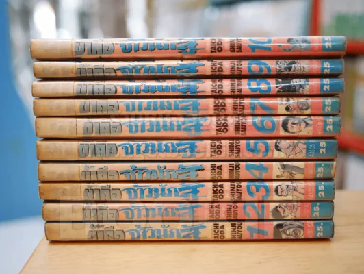 ข้าคือจ้าวนักสู้ 10 เล่มจบ (คนวาดจอมโหดกระทะเหล็ก) รูปที่ 2