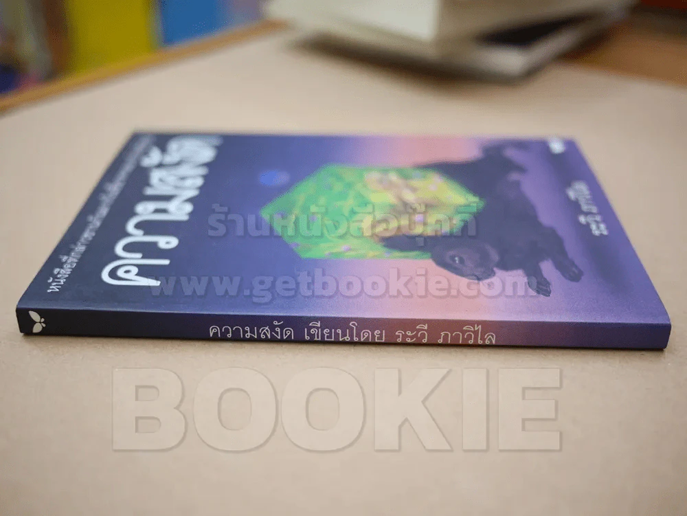 ความสงัด - ระวี ภาวิไล รูปที่ 2