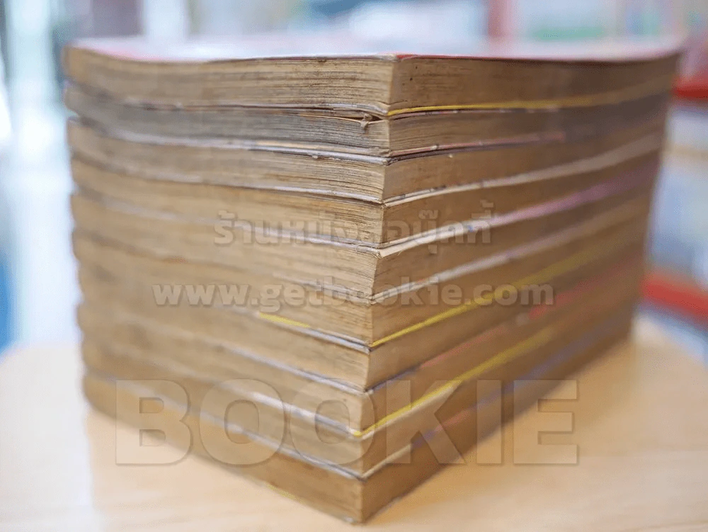 ข้าคือจ้าวนักสู้ 10 เล่มจบ (คนวาดจอมโหดกระทะเหล็ก) รูปที่ 4