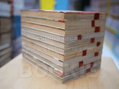 ผีป่วนกวนคนเป็น 11 เล่มจบ รูปที่ 5