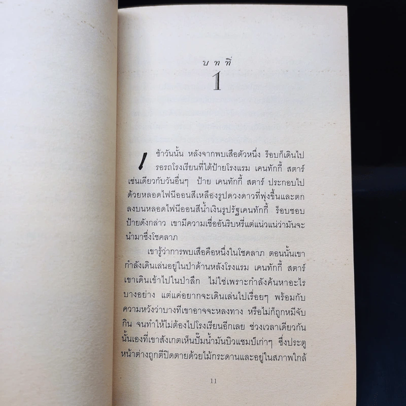ร็อบ ฮอร์ตัน กับเสือในกรงใจ รูปที่ 10