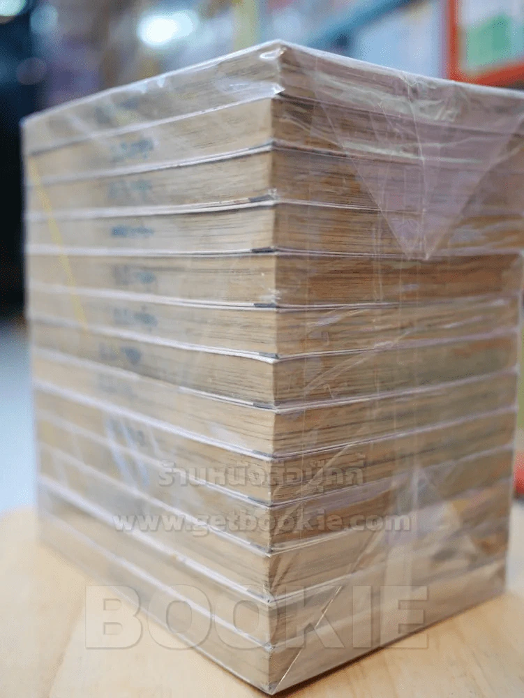 อัดกระแทกฝา เล่ม 1-13 รูปที่ 4