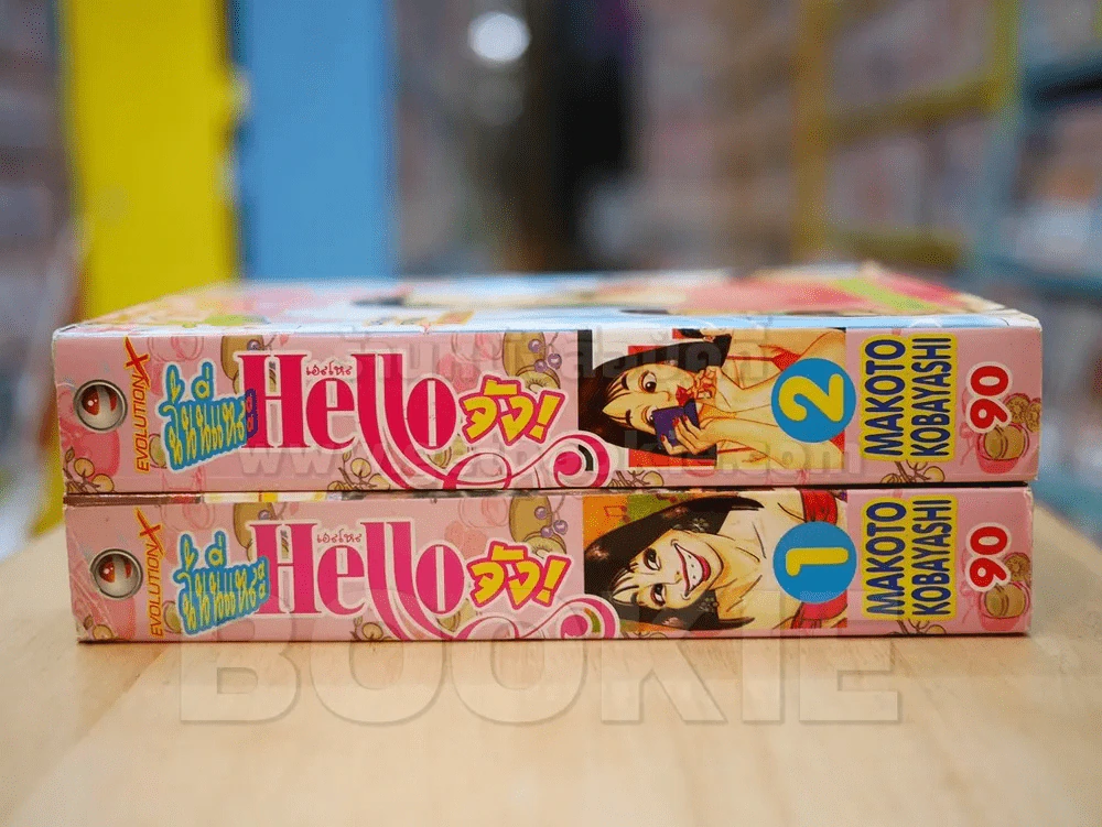 ฉันนี่แหละ Hello จัง 2 เล่มจบ รูปที่ 2