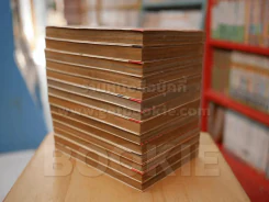 Love Hina บ้านพักอลเวง 14 เล่มจบ (สภาพดี) รูปที่ 5