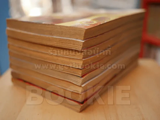 ฤทธิ์ดาบฟ้าทมิฬ 9 เล่มจบ (เล่ม 2,3 สภาพบวมน้ำ) รูปที่ 4