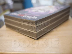 สาปศพนางฟ้า เล่ม 1-3 รูปที่ 4
