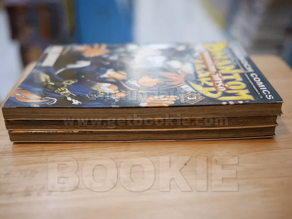 Phantom Wizard แพนธ่อม วิซาร์ด 3 เล่มจบ รูปที่ 3