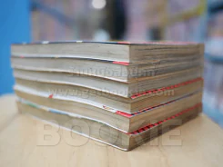 ปล้นเหินฟ้า 6 เล่มจบ (เล่ม 1 สภาพบวมน้ำ) รูปที่ 3