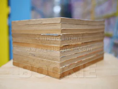 หักเหลี่ยมตระกูลโหด 11 เล่มจบ (สภาพดี) รูปที่ 4