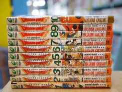 Dragon Quest ดราก้อน เควสท์ ภาคแผ่นดินมายา 10 เล่มจบ รูปที่ 2