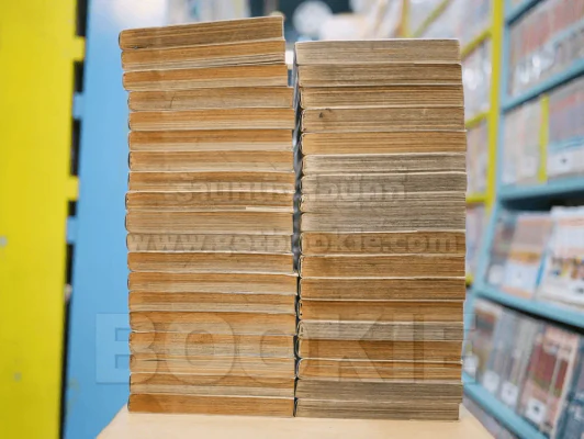 Berserk เล่ม 1-37 (สภาพดีมาก) รูปที่ 5