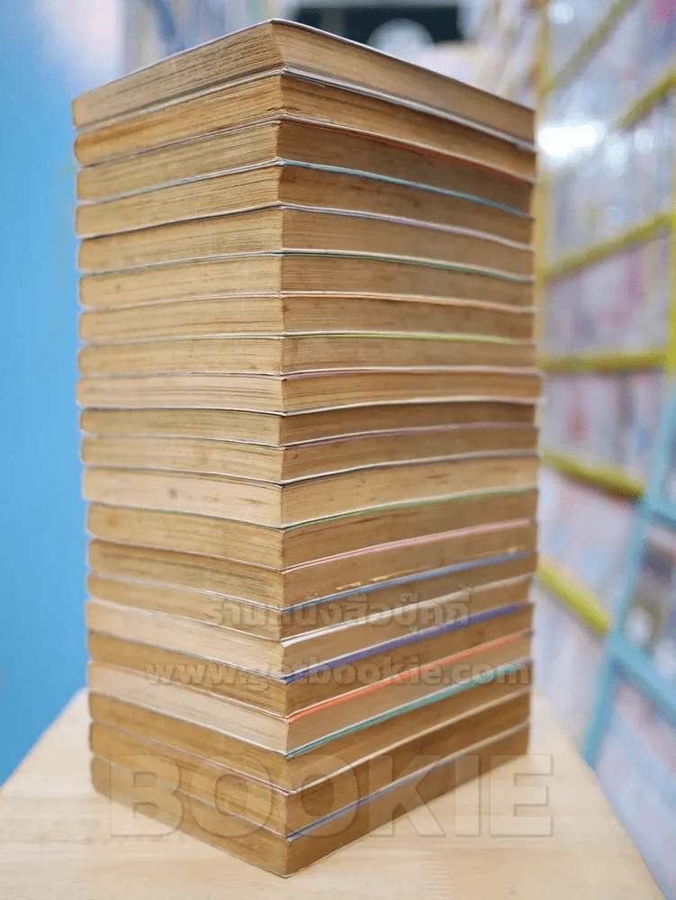 Dragon Quest ภาคสัญลักษณ์ผู้กล้าโรโตะ 21 เล่มจบ รูปที่ 4