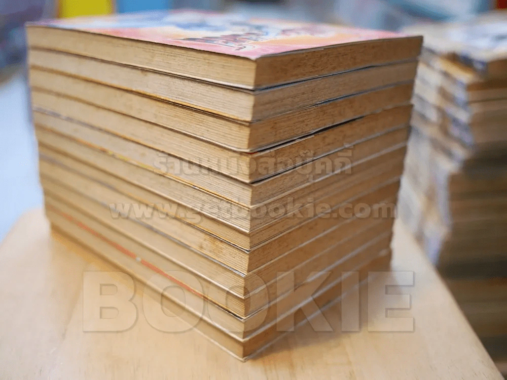 เล็กเซียวหงส์ 12 เล่มจบ รูปที่ 5