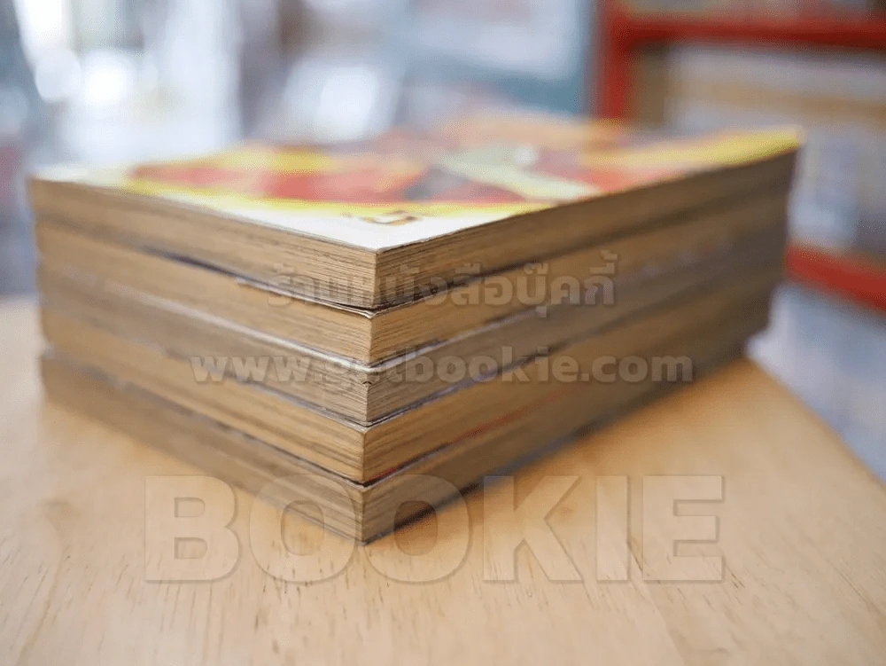 ดาบพิฆาตเทวะ 5 เล่มจบ รูปที่ 4