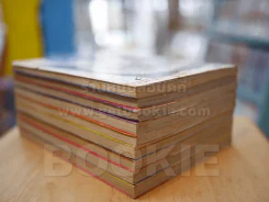 หนุ่มเฮี้ยวพันธุ์ระห่ำ 9 เล่มจบ ( คนวาด BOY HARELUYA สภาพดี) รูปที่ 5