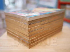 นากัสมังกรพิฆาต 9 เล่มจบ รูปที่ 4