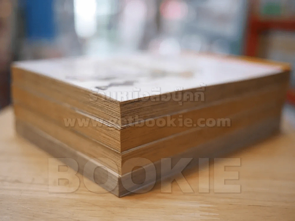 MAR OMEGA อิทธิฤทธิ์พิชิตมายา 4 เล่มจบ รูปที่ 4
